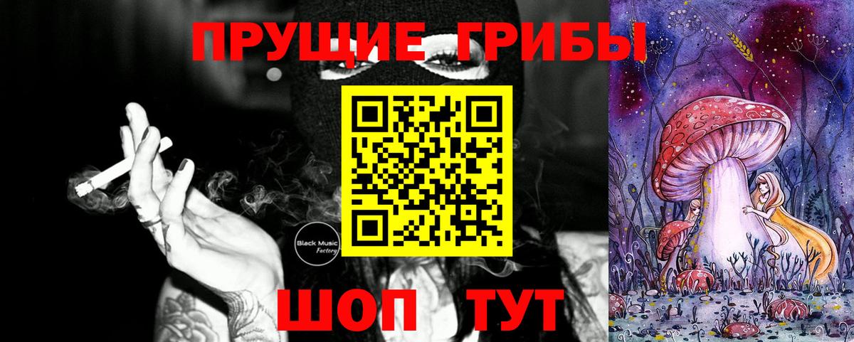 Псилоцибиновые грибы мицелий Анжеро-Судженск