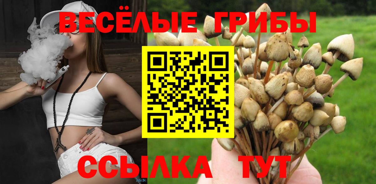 Анжеро-Судженск  Псилоцибиновые грибы мицелий  Вход с VPN 